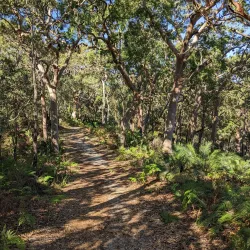 Wyrrabalong National Park - Tuggerah