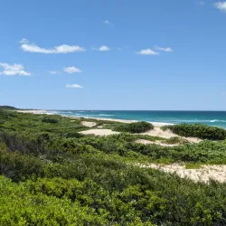Wyrrabalong National Park - Tuggerah