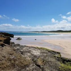 Wyrrabalong National Park - Tuggerah