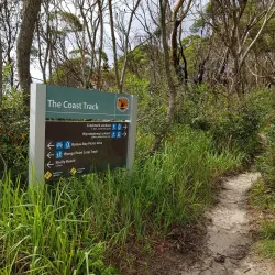 Wyrrabalong National Park - Tuggerah