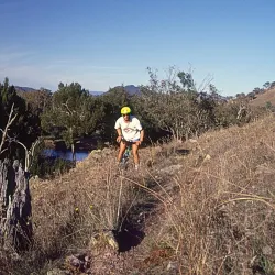 Batlow Apple Orchards - Tumut NSW