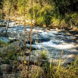 Goobarragandra River - Tumut NSW