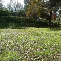 Tumut Botanic Gardens - Tumut NSW