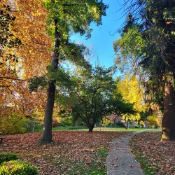 Tumut Botanic Gardens - Tumut NSW