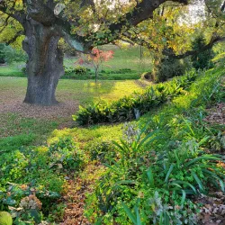 Tumut Botanic Gardens - Tumut NSW