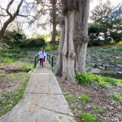 Tumut Botanic Gardens - Tumut NSW