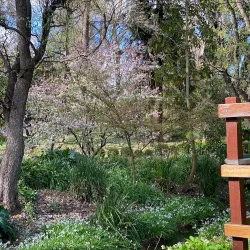 Tumut Botanic Gardens - Tumut NSW