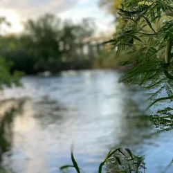 Tumut River - Tumut NSW