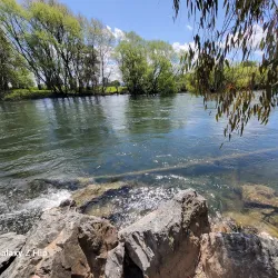 Tumut River - Tumut NSW