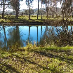Tumut River - Tumut NSW