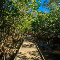 Tweed Heads Historic Site - Tweed Heads