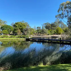 Tweed Regional Botanic Gardens - Tweed Heads