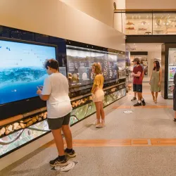 Tweed Regional Museum - Tweed Heads