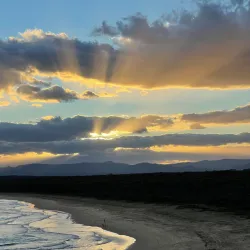 Broulee Headland - Ulladulla