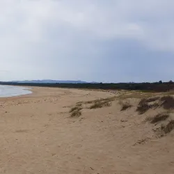 Broulee Headland - Ulladulla