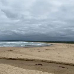 Broulee Headland - Ulladulla