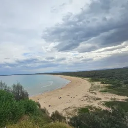Broulee Headland - Ulladulla
