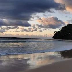 Mollymook Beach - Ulladulla