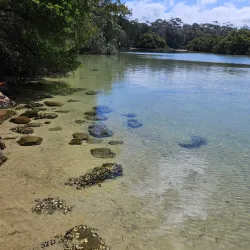 Narrawallee Inlet - Ulladulla