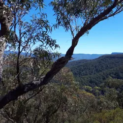 Pigeon House Mountain (Didthul) - Ulladulla