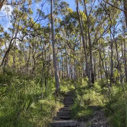 Pigeon House Mountain (Didthul) - Ulladulla