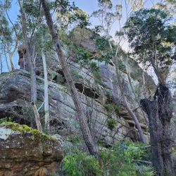 Pigeon House Mountain (Didthul) - Ulladulla