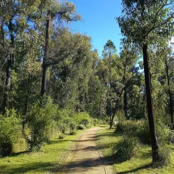 Ulladulla Botanic Gardens - Ulladulla