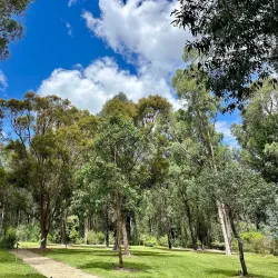 Ulladulla Botanic Gardens - Ulladulla
