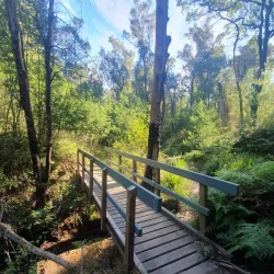 Ulladulla Botanic Gardens - Ulladulla