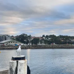Ulladulla Harbour - Ulladulla