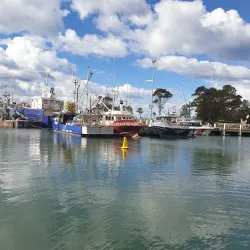 Ulladulla Harbour - Ulladulla