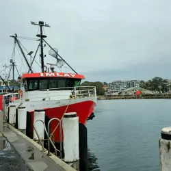 Ulladulla Harbour - Ulladulla