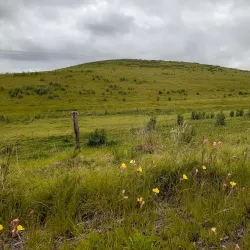 Inman Valley - Victor Harbor