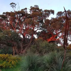 Inman Valley - Victor Harbor