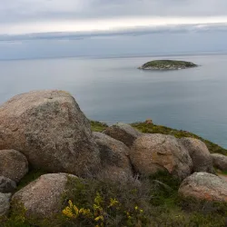 Rosetta Head (The Bluff) - Victor Harbor