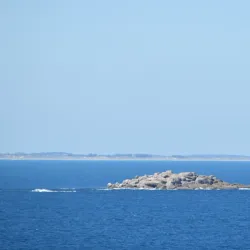 Rosetta Head (The Bluff) - Victor Harbor