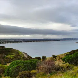 Rosetta Head (The Bluff) - Victor Harbor