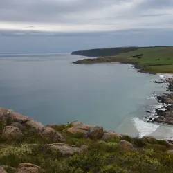 Rosetta Head (The Bluff) - Victor Harbor