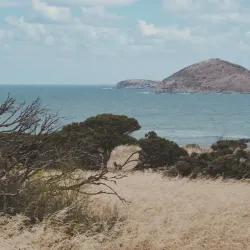 Rosetta Head (The Bluff) - Victor Harbor