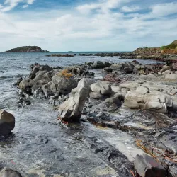 Rosetta Head (The Bluff) - Victor Harbor