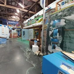 South Australian Whale Centre - Victor Harbor