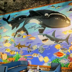 South Australian Whale Centre - Victor Harbor