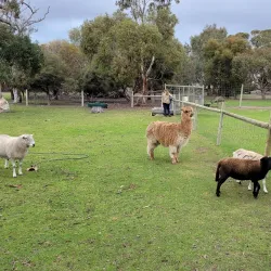 Urimbirra Wildlife Park - Victor Harbor
