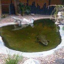 Urimbirra Wildlife Park - Victor Harbor