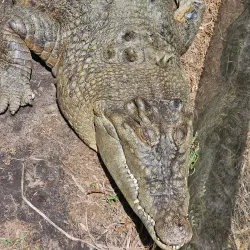 Urimbirra Wildlife Park - Victor Harbor