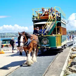 Victor Harbor Heritage Trail - Victor Harbor