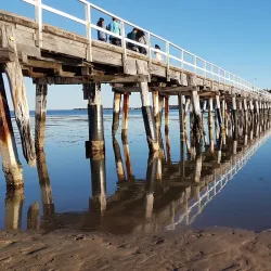 Victor Harbor Horse-Drawn Tram - Victor Harbor