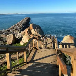 Victor Harbor Horse-Drawn Tram - Victor Harbor