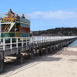 Victor Harbor Horse-Drawn Tram - Victor Harbor