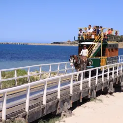 Victor Harbor Horse-Drawn Tram - Victor Harbor